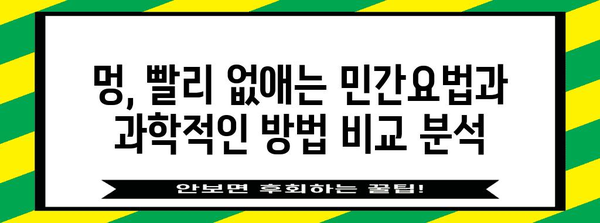 멍든 얼굴 복원 가이드 | 집에서 해결하는 효과적인 팁