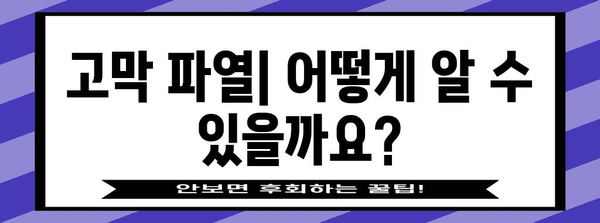 고막 파열 증상과 응급처치 | 응급 상황 인식하기