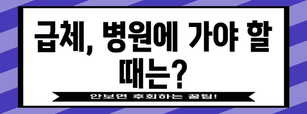 급체 후 소화불량 해결법 | 원인, 증상, 효과적인 방법