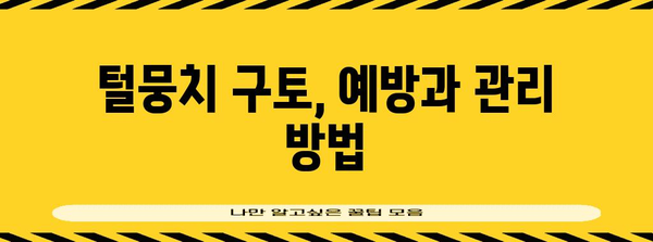 고양이 구토 원인 추적 가이드 | 위장병? 털뭉치? 알아보기 (검색어 | 고양이 구토)