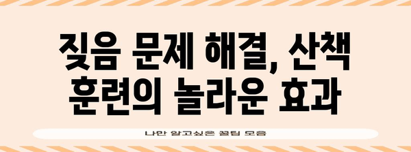 강아지 짖음 해결책! 산책훈련 후기 공개