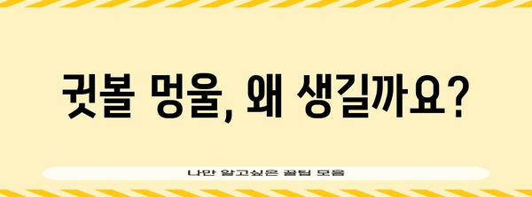 귓볼 멍울 관리 완벽 가이드 | 원인, 증상, 대처법