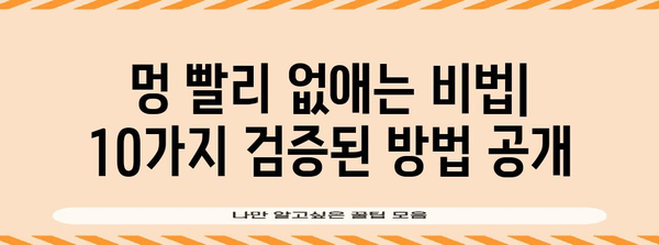 멍 없애기의 완벽 가이드 | 10가지 증명된 방법