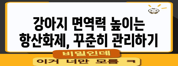강아지 면역력 업! 항산화제로 건강하게 키우기