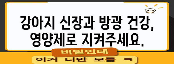 강아지 신장 건강 필수 영양제 | 방광염 환자의 중요성
