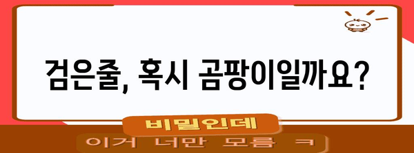 손톱 건강 관리 가이드 | 세로줄과 검은줄 제거 방법