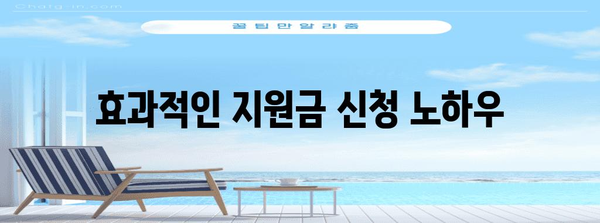 정부 지원으로 기업 경쟁력 강화하기 | 필수 노하우 정리