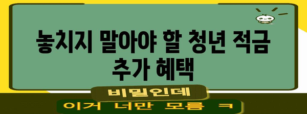 2024 청년 적금으로 저축 최적화 | 4가지 필수 팁