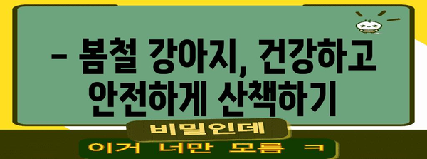 봄철 안전한 강아지 산책, 주의사항 5가지