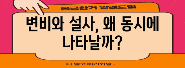 아침 설사와 변비의 원인과 해결책 | 변비와 설사의 이중 고민 풀기