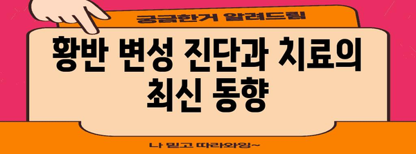 황반 변성 관리의 cutting-edge 정보
