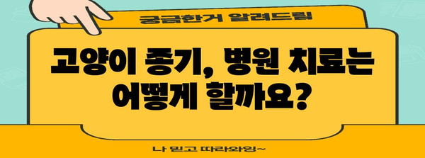 고양이의 종기 | 원인, 치료법, 그리고 예방 가이드