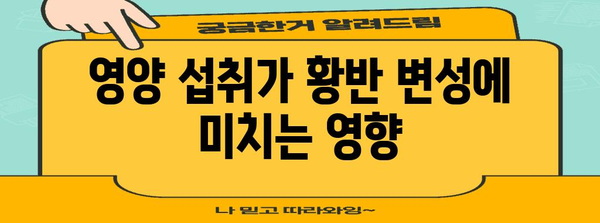 황반 변성 관리의 cutting-edge 정보