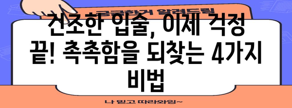 건조한 입술 대비 4가지 필수법 | 트임에 맞서 싸우는 방법