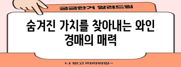 와인 경매 확대판 | 지혜로운 투자를 위한 새로운 길