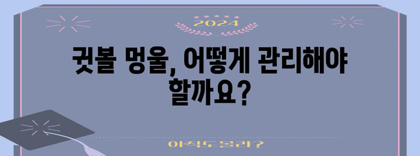 귓볼 멍울 관리 완벽 가이드 | 원인, 증상, 대처법