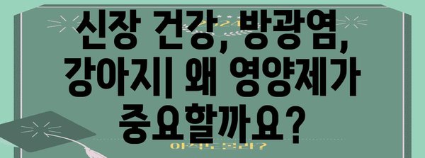 강아지 신장 건강 필수 영양제 | 방광염 환자의 중요성