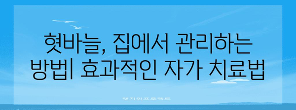 혓바늘 원인과 치료법 | 항생제, 알보칠 등 다양한 옵션