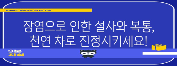 장염 완화 차 5가지 | 설사와 복통에 효과적인 천연 치료법