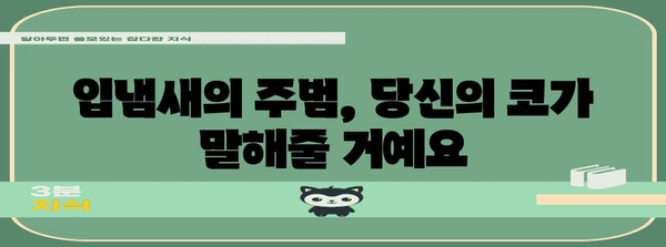 후각과 입냄새의 관계 | 입냄새 원인 해결의 비밀