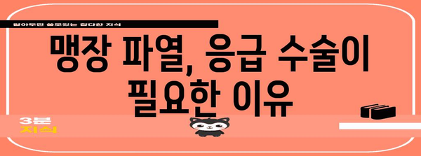 맹장 파열의 경고 신호 | 심각한 결과 알아두기