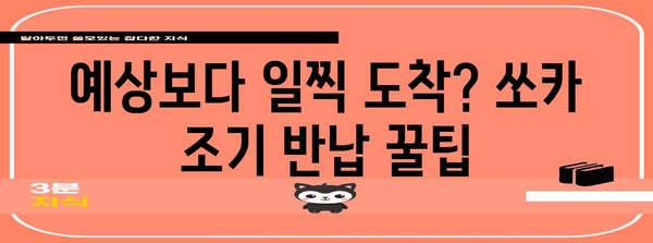 쏘카 반납 완벽 가이드 | 지연과 조기 대비 팁