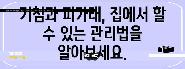 기침, 피가래 | 원인, 증상, 필수 치료법