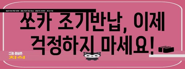 쏘카 조기반납 요금 최적화 가이드 | 돈 절약 꿀팁 포함