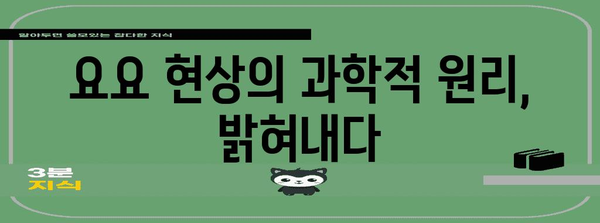 요요 다이어트와 실패의 과학 | 원인 파악과 성공 전략