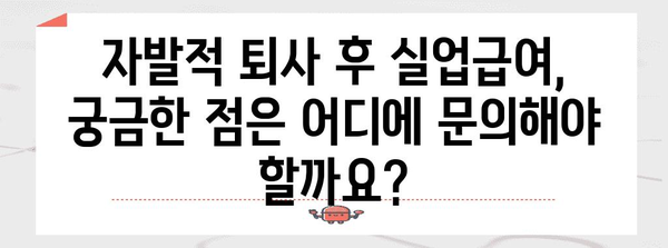 자발적 퇴사 후 실업급여 수령 가이드 | 조건, 절차, 주의사항