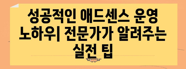 애드센스 수익 창출 가이드 | 필수 활용 팁