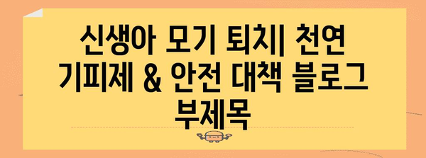 신생아 모기 퇴치 | 천연 기피제와 안전한 대책