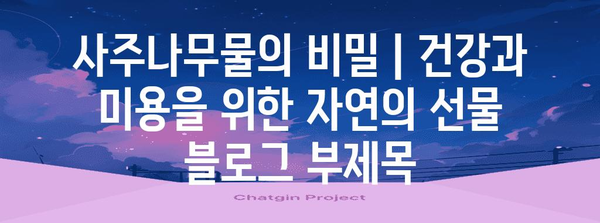 사주나무물의 비밀 | 건강과 미용을 위한 자연의 선물
