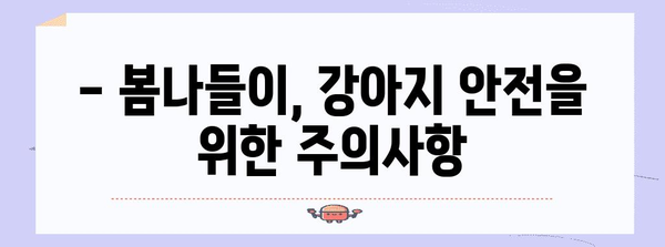 봄철 안전한 강아지 산책, 주의사항 5가지