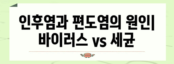 인후염 vs 편도염 | 증상, 원인, 치료법 비교