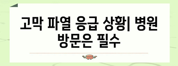 고막 파열 증상과 응급처치 | 응급 상황 인식하기
