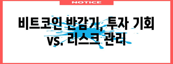 비트코인 반감기의 향방 | 상승 전망과 전략적 투자