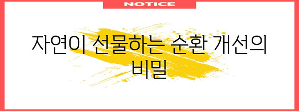 순환 개선의 비밀 무기 | 천연 식물성 영양제 탐구