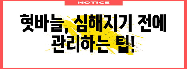 혓바늘 퇴치의 비결 | 원인 파악과 효과적인 솔루션