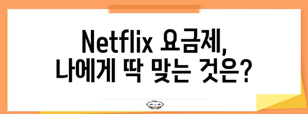 최적의 Netflix 요금제 선택 | 스탠다드에서 가족까지 맞춤형 가이드