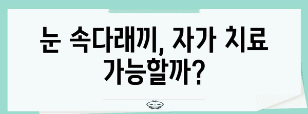눈 속다래끼 극복 | 빠른 치유를 위한 5가지 방법