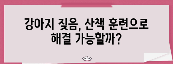 강아지 짖음 해결책! 산책훈련 후기 공개