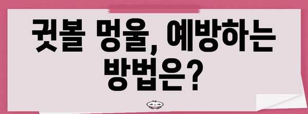 귓볼 멍울 관리 완벽 가이드 | 원인, 증상, 대처법