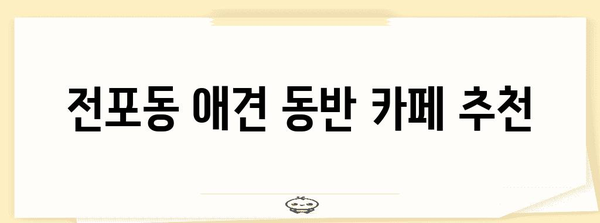 전포동에서 애견 동반 즐기기 | 추천 카페 베스트 5