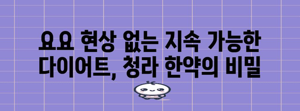 청라 한약 다이어트 성공 비결 | 요요 현상 방지 3가지 팁