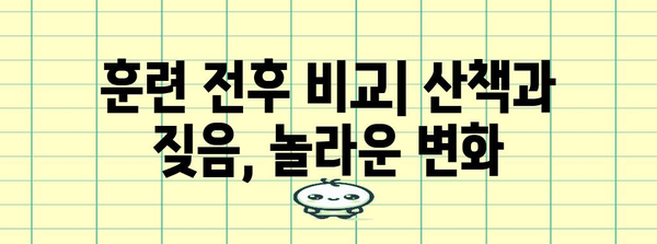 강아지 짖음 해결책! 산책훈련 후기 공개