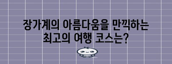 장가계 삼림 공원 완벽 가이드 | 여행 코스, 팁, 필수 정보