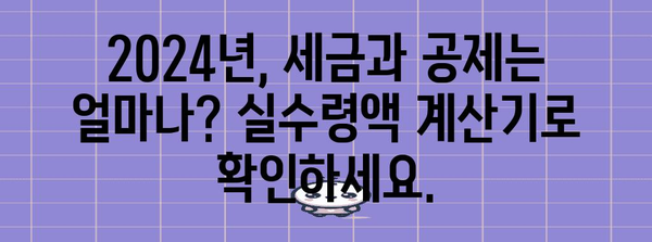 실수령액 계산기 | 2024년 월급 실제 손에 잡는 금액은?