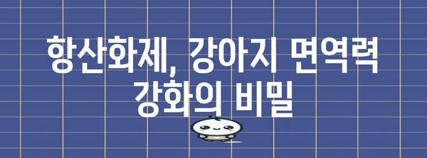 강아지 면역력 업! 항산화제로 건강하게 키우기