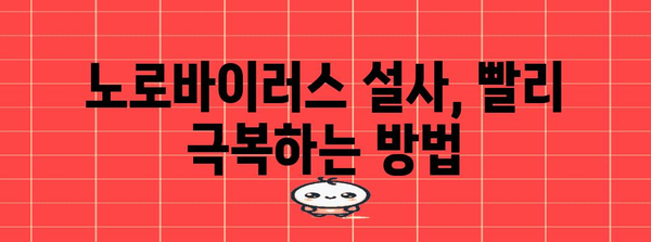 노로바이러스 설사 빠른 회복 | 예방부터 식단 관리까지